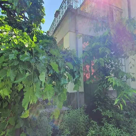 In - Balaton 38090 شقة *