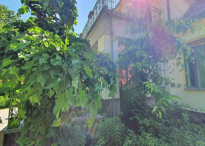In - Balaton 38090 Appartement *